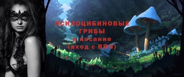 меф Арсеньев